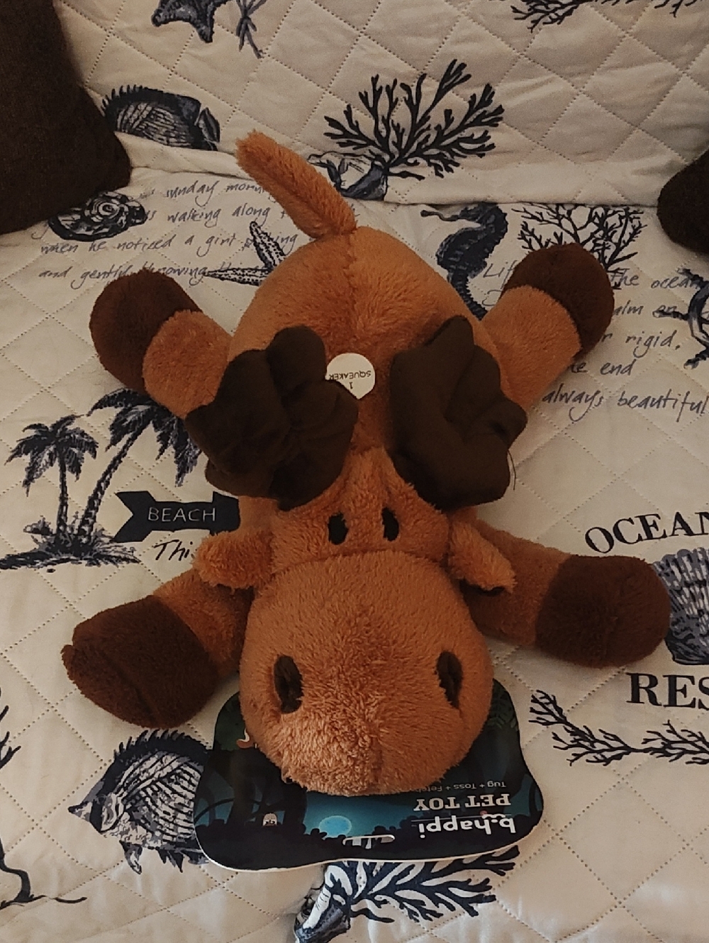 PETS: MOOSE DOG TOY